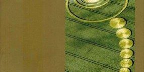 Libro la libertad del ser de Annie M